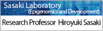 Research Professor Sasaki Laboratory（Epigenomics and Development）